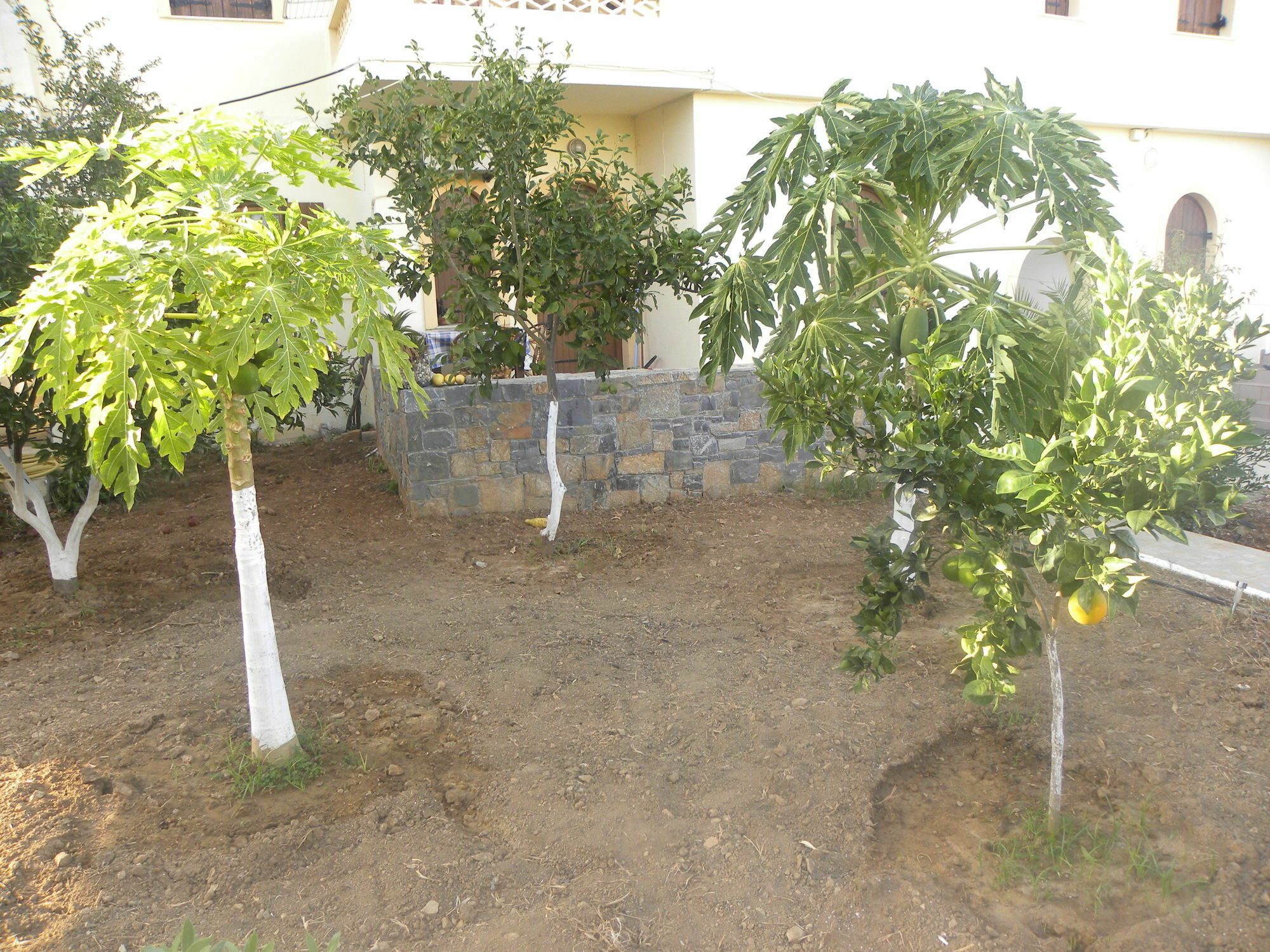Villa Thalia Mílatos Exterior foto
